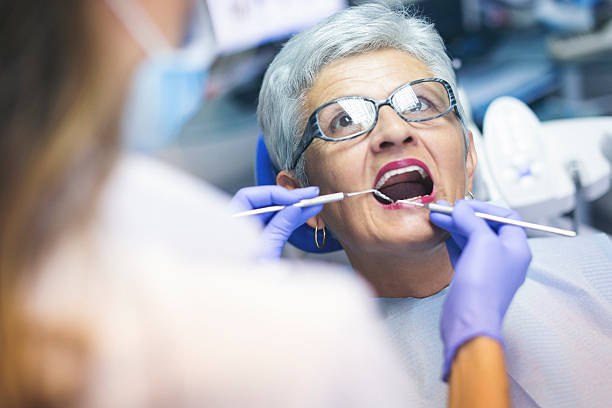 Trusted Fountain Green, UT  Holistic Dental Services Experts
